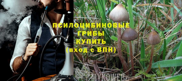 прущая мука Абаза