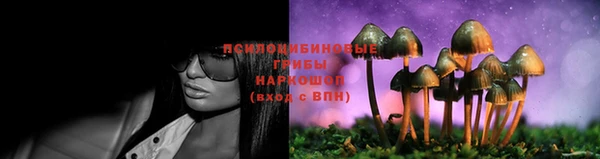прущая мука Абаза