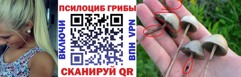 где купить наркоту  Нефтегорск  Галлюциногенные грибы Magic Shrooms 